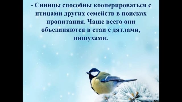 «Синичкин день» (СДК Прикубанский) смотреть онлайн