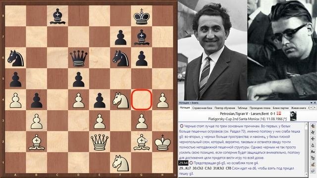 Шахматы. Миттельшпиль - стратегия игры. Игра по всей доске