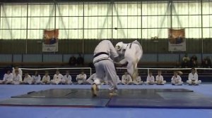 Hapkido JJK Master COUET Raphael Demo Corsica 2009