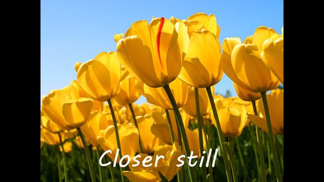 Sheryl Crow - Wildflower (w/ Lyrics) [1080 HD]