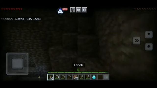 Minecraft | Playing Solo | Streaming with Turnip