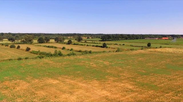 drones 040 presents Terry Jacks - Seasons in the sun смотреть онлайн