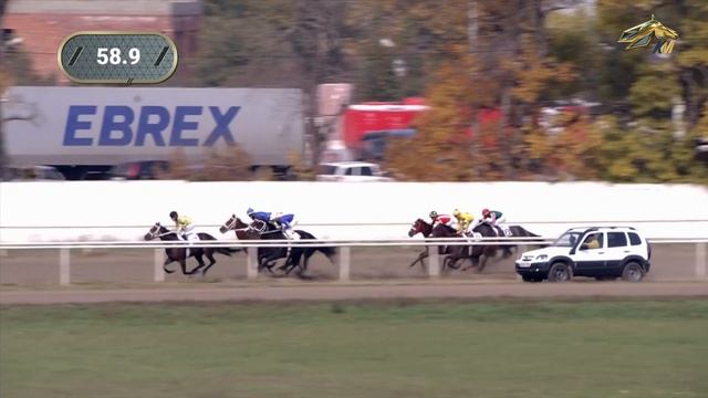 5-я Скачка. Краса России. Краснодарский ипподром. 16 октября 2021 смотреть онлайн