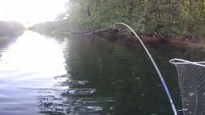 Щука 5150гр на спиннербейт