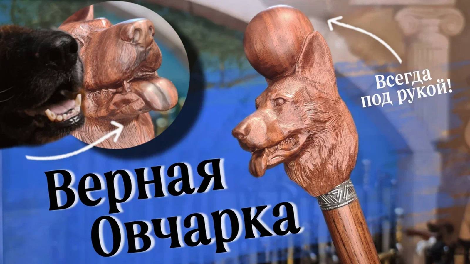 Трость с головой собаки | Овчарка с шаром