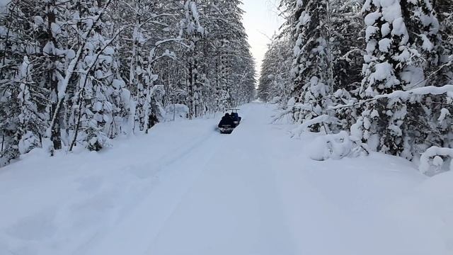 Мотобуксировщик "Бурлак", едет без водителя. смотреть онлайн