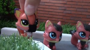 LPS-лисички на карантине :)