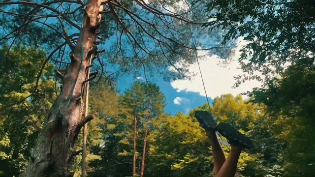 Мезмай, Темнолеская
