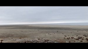 Arctic today | Жизнь на полярной станции | Арктический дневник #7