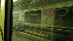 Перегон метро "Лермонтовский проспект" - "Выхино" // 10 ноября 2013 г.