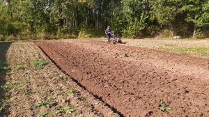 Осенняя вспашка мотоблоком с Мультиагро. Пашем двумя разными плугами. Plowing with a plow.