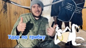 Ниндзя в мире конных болячек: тихий и бесшумный