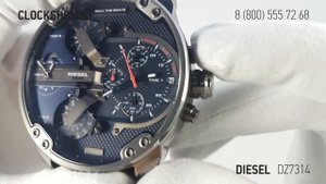 DIESEL DZ7314