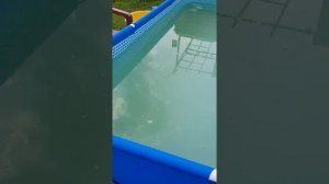 Как почистить воду в бассейне с помощью перекиси водорода 60%.