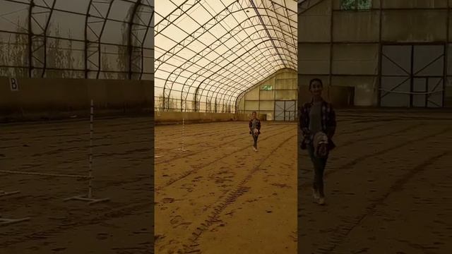 По плану сегодня хоббихорсинг