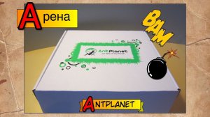Высокая самосборная арена от AntPlanet