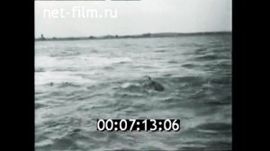 1959г. Минск. аэроклуб ДОСААФ