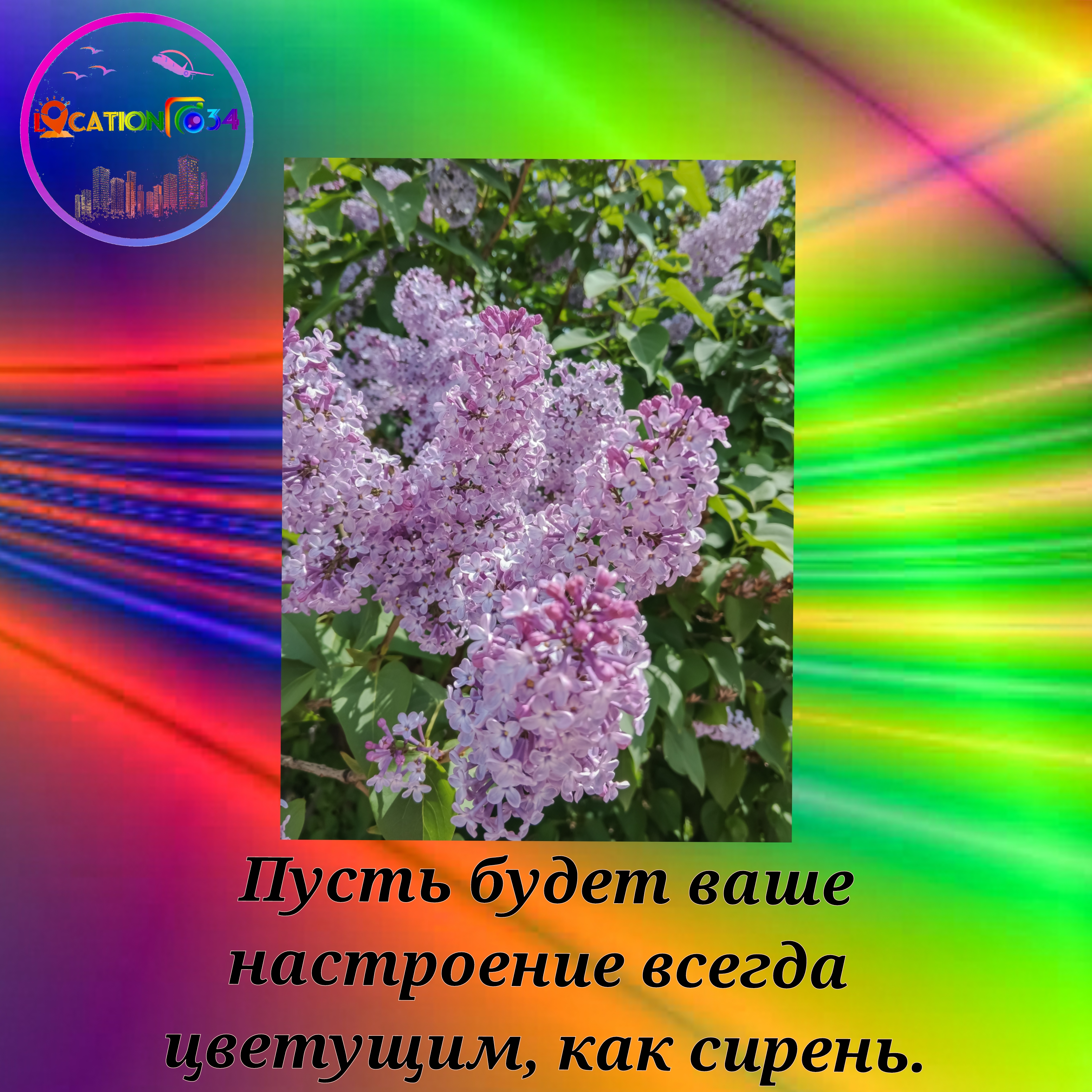 ✨✨✨Сирень. 2023.???