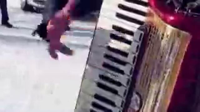 Классна играет на гормошке