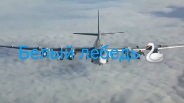 Белый лебедь 🦢