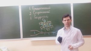 Костный мозг