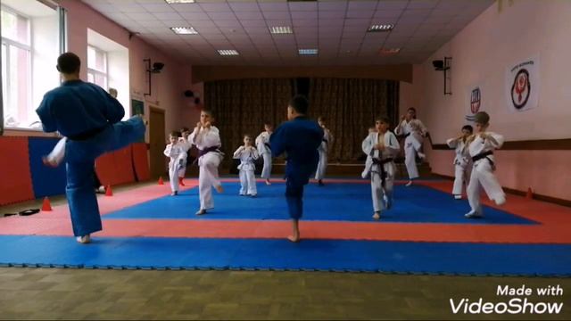 11.05.2019 Весенняя аттестация по КУДО г.Наро-Фоминск клуб КУДО "ФЕНИКС" смотреть онлайн