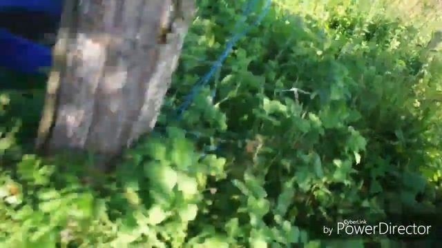 Гусята из инкубатора.2 Часть смотреть онлайн