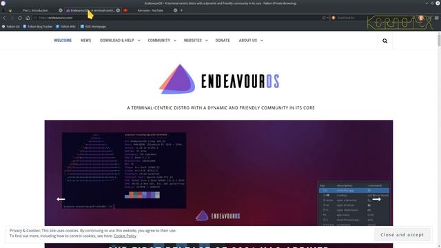 LFS 10.1 Chapter 1 - Introduction смотреть онлайн