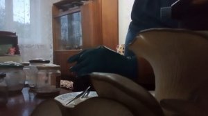маточный мицелий грибов вешенка на агар-агаре.