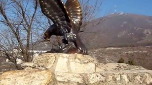 Северный Кавказ Пятигорск Гора Горячая Скульптура орла
