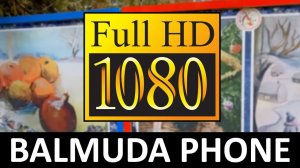 1080p видео с камеры Balmuda Phone