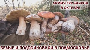 ?БЕЛЫЕ ГРИБЫ И ПОДОСИНОВИКИ ПОШЛИ В ПОДМОСКОВЬЕ?АРМИЯ ГРИБНИКОВ.?ОКТЯБРЬ 2022?