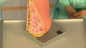 Эктазия молочных протоков. Чем опасна боль в груди