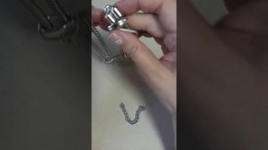 Переделка украшения. Цапон-лак. Леопард на цепи.