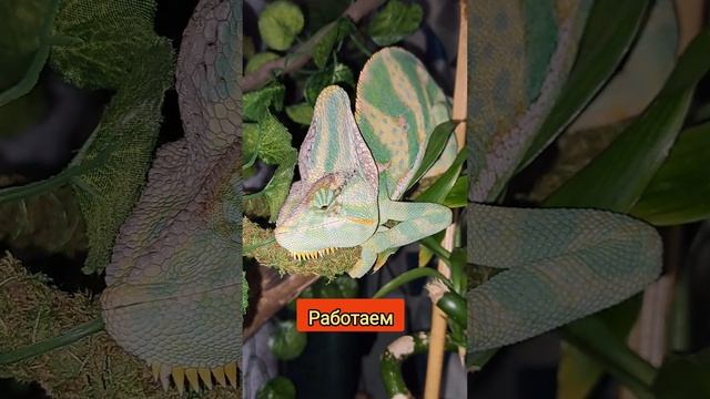работаете?