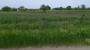 Панская Гвоздевка жемчужина в пригороде Воронежа