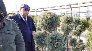 BAHOR GULLARI.#GULLAR #LANSHAFT #FERMERMAKTABI