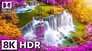 СКРЫТЫЕ ЧУДЕСА ЗЕМЛИ DOLBY VISION™ HDR 8K (240 FPS)