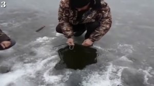 Лучшие трофеи на зимней рыбалке!!!