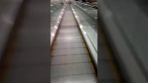 Обзор торгового центра Гагаринский