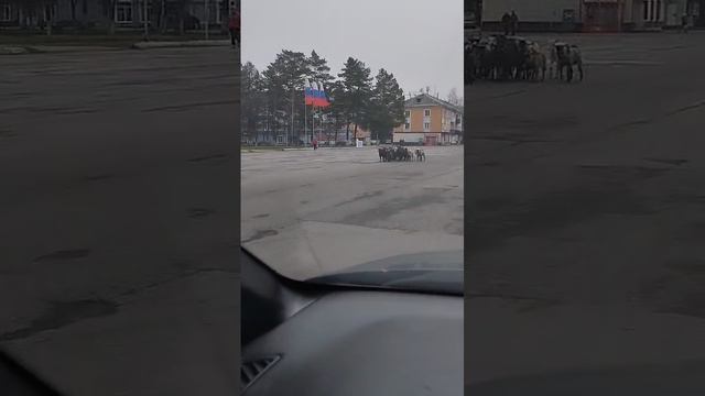 В Мысках уже начался Первомайский парад❗️
Первая колона пошла.

Видео от подписчика.