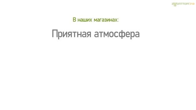 Развитие сети магазинов по франшизе «ЗооОптТорг.РФ»