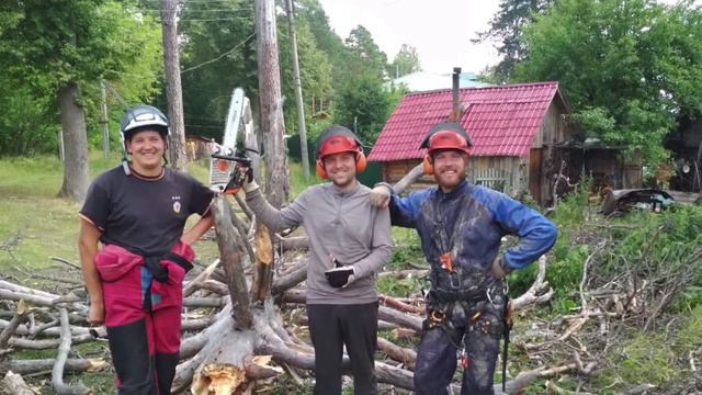 Удаление сухостойных сосен