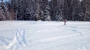 Одновременно одношажный коньковый ход