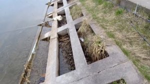 18 апреля 2023 года  Боковой кивок на Гребном канале!