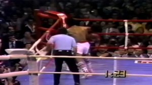 Sugar Ray Leonard - The Complete Career Documentary