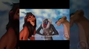 Исторя Зиры (король лев)