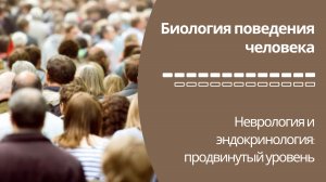 Биология поведения человека Лекция #13. Неврология и эндокринология продвинутый уровень