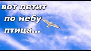 ВОТ ЛЕТИТ ПО НЕБУ ПТИЦА. СЛ. И МУЗ. АНАТОЛИЯ КАШКИ