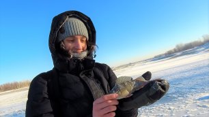 МЕНЯ ОБЛОВИЛИ КАК ПАЦАНА первый день зимы, первая зимняя рыбалка, первая лунка, первый окунь со льда